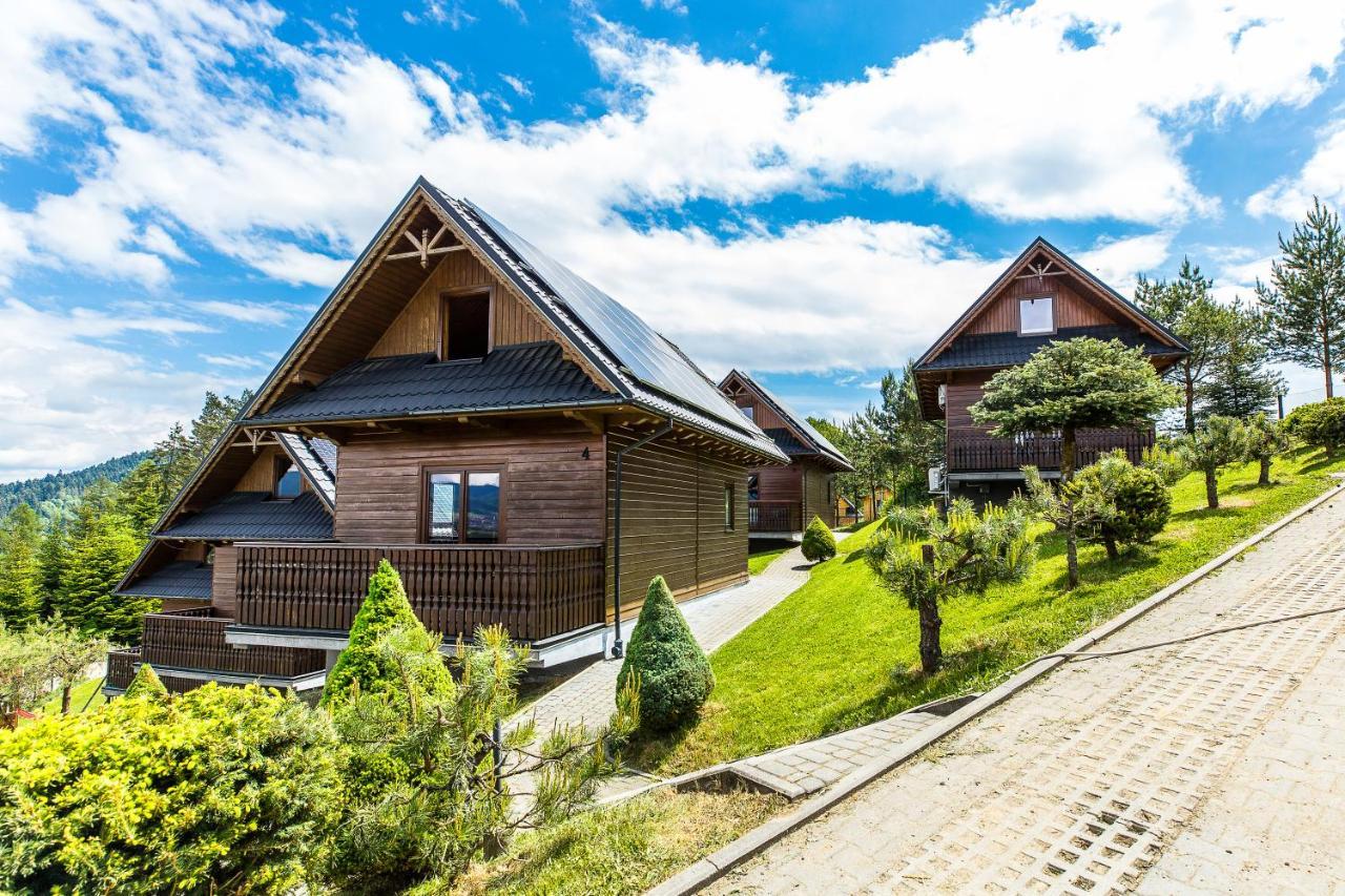 Mergen Bike & Ski Resort Замок Нидзица Экстерьер фото